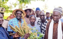 Dr Papa Abdoulaye Seck à Thiès : " On a une bonne campagne agricole matérialisée par un bon développement végétatif..."