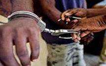 Vente de produits sexuels : Interpol arrête 7 personnes