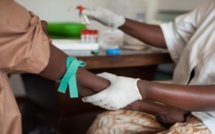 Dengue : Au Moins 20 Cas Suspects À Saint Louis