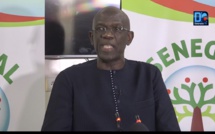 Front en vue de la Présidentielle : Mame Adama Gueye rencontre Guirassy et Sonko aujourd’hui