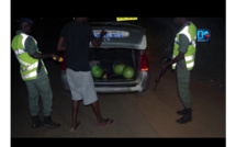 VIDÉO : Arrestation d'une redoutable bande armée par la gendarmerie de Mbour...