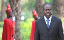 Coupe Abusive De Bois : Le Sénégal Corse Les Peines