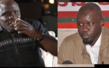 Gaston Mbengue : "Sonko doit arrêter ses voyages d'exhibition et se concentrer sur..."