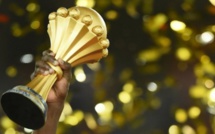 Le Cameroun disqualifié pour l'organisation de  la Coupe d'Afrique des nations 2019