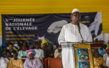 LE PRÉSIDENT SALL PROMET UN SOUTIEN ACCRU À L’ÉLEVAGE