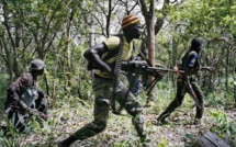Casamance : Des brigands ont braqué des agents du programme Puma, emportant avec eux leur voiture