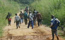 Attaque armée en Casamance : Des bœufs volés et acheminés vers la Guinée-Bissau