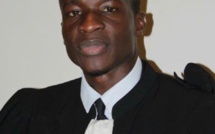 Cas de l'hippopotame abattu- Me Bamba Cissé : "C'est inadmissible !"