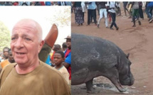 Kédougou : Ce que risque le chasseur qui a tué l'hippopotame