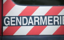 "Simb" de Keur Massar : 9 personnes interpellées par la gendarmerie