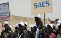 Enseignement Supérieur : Le SAES  Avertit Cheikh Oumar HANN