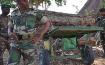 Chaude altercation entre militaires gambiens et agents des eaux et forêts Sénégalais