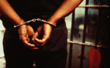 Guédiawaye : Cinq homosexuels dont un marabout arrêtés