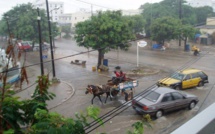 Ziguinchor : Une première pluie fait beaucoup de dégâts.