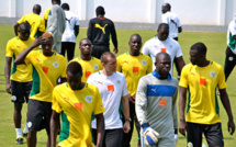 LES LIONS DOUBLENT LA MISE
