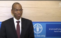 ROME : Le ministre de l’Agriculture Moussa Baldé reçu à la FAO.