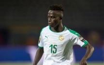 Vrai lion, Krépin, le cœur de la Tanière (Par Papa Ibrahima Diassé)
