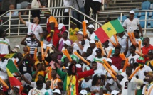 CAN 2019 : c'est parti pour la demi-finale entre le Sénégal et la Tunisie
