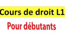 Code Pénal : La Terrible Confusion Entre Les Articles 80 Et 254