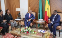 Les dessous  de l'audience entre le Pr Macky Sall et Tony Elumelu 