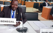 ​Rues et Places de France au nom des Tirailleurs sénégalais : Fodé Sylla encourage le Président Macron et l’invite à aller au-delà