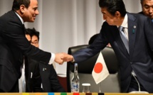 Le Japon veut s’imposer en Afrique...Les raisons...