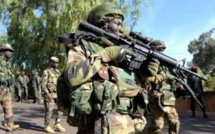 Casamance : L’armée arrête un éclaireur des «Roméos» Bissau-guinéen à Samick
