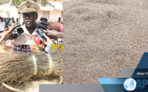 FILIÈRE FONIO : KÉDOUGOU ENREGISTRE UN BOND DE 17% EN 2018 (GOUVERNEUR) FILIÈRE FONIO : KÉDOUGOU ENREGISTRE UN BOND DE 17% EN 2018 (GOUVERNEUR)