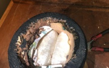 LUTTE CONTRE LE TRAFIC INTERNATIONAL DE DROGUE : La Douane a saisi de la cocaïne à l’AIBD et intercepté près de 600 kg de chanvre indien à l’intérieur du pays en 5 jours. LUTTE CONTRE LE TRAFIC INTERNATIONAL DE DROGUE : La Douane a saisi de la cocaïne à l’AIBD et intercepté près de 600 kg de chanvre indien à l’intérieur du pays en 5 jours.