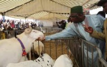 Macky Sall aux éleveurs : « Votre gestion du bétail est un cas d'école qui peut inspirer d'autres secteurs... Je vous renforcerai à hauteur de 2 milliards pour... »