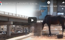 VIDEO - PARCELLES ASSAINIES: Les conducteurs de charrettes encombrent et salissent les rues de la VDN2 VIDEO - PARCELLES ASSAINIES: Les conducteurs de charrettes encombrent et salissent les rues de la VDN2