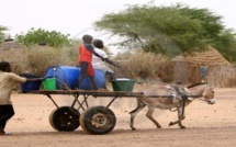 Linguère : Une fille de 12 ans meurt écrasée par un fût d’eau tombé d'une charrette Linguère : Une fille de 12 ans meurt écrasée par un fût d’eau tombé d'une charrette
