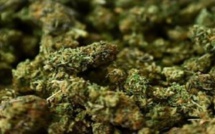 Yeumbeul: Un baron de la drogue saute du 2e étage et se fracture la jambe Yeumbeul: Un baron de la drogue saute du 2e étage et se fracture la jambe