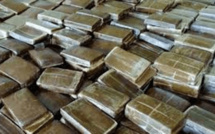 Nouvelle saisie de cocaïne au Port de Dakar: Une valeur estimée à 9,6 milliards de FCfa
