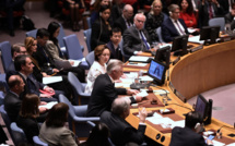 Le Conseil de sécurité de l'ONU vote pour un "cessez-le-feu durable" en Libye