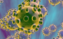 Effarantes révélations sur le coronavirus : 70% de la population mondiale est porteuse du virus...