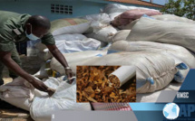 QUINZE TONNES DE TABAC SAISIES À THIAROYE (GENDARMERIE NATIONALE)