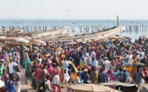 Mbour : Le préfet ferme le marché central et le quai de pêche