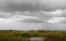 UNE SAISON PLUVIEUSE ATTENDUE DANS LE SAHEL