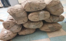 THIÈS : 66 KG ET 72 CORNETS DE CHANVRE INDIEN SAISIS
