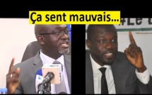 Pour Éliminer Son Ministre…Le DG De La Senelec Emploie La Méthode Sonko