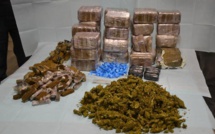 Trafic de drogue : 147 Kg de yamba saisis à Kaolack
