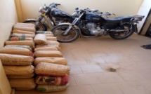 94 KG DE CHANVRE INDIEN SAISIS À SÉDHIOU ET À TAMBACOUNDA