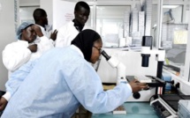 Accusations contre l’Institut Pasteur : Dr Amadou Sall solde ses comptes