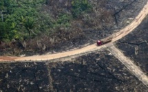 Déforestation : 12 millions d'hectares de forêts tropicales perdus en 2019 (rapport)
