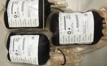 FATICK RECONSTITUE SON STOCK DE SANG AVEC LA COLLECTE DE 288 POCHES