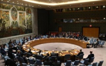 Covid-19 : le Conseil de sécurité de l'ONU vote une résolution appelant à une trêve mondiale