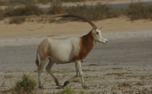 Communiqué du Ministère de l’Environnement et du Développement durable Communiqué du Ministère de l’Environnement et du Développement durable