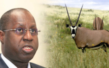 Affaire des « gazelles d’Abdou Karim Sall »: Les journalistes convoqués à la DIC libérés