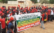 Foncier : Les populations de Djilakh tournent en dérision la conférence de presse de Babacar Ngom et appellent à une marche nationale à Dakar le 17 juillet.